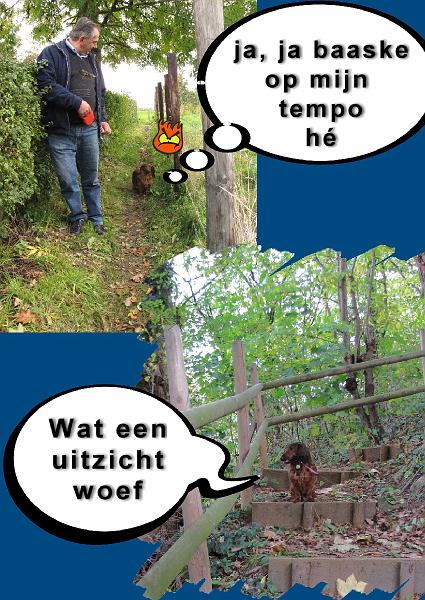 MG Herfstwandeling (13).JPG